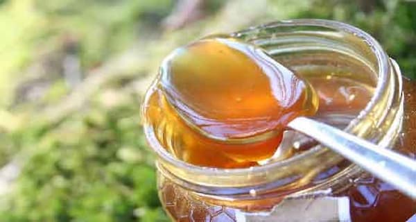 تصویر 2 از قیمت خرید عسل یونجه با کیفیت + فروش ویژه
